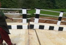 दुई महिनामै भासियो रोशी पुल