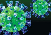 कोरोनाविरुद्ध प्रधानमन्त्री ओलीको पहलकदमी