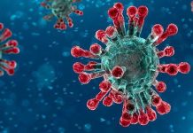 भारतमा कोरोना भाइरसबाट मृत्यु हुनेको संख्या २१ सय नाघ्यो