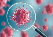 ४ जना नेपालीको मृत्यु  अमेरिकामा कोरोना आशंका