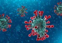 भारतमा पहिलोपटक एकै दिन कोरोनाबाट १ सय ९५ जनाको मृत्यु