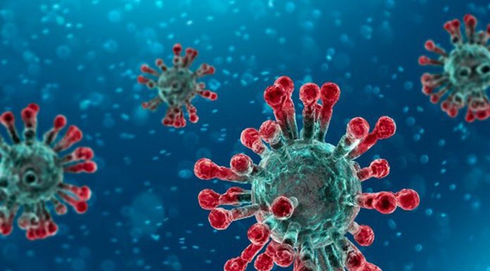 नेपालमा आज यति धेरै थपिए नयाँ कोरोना संक्रमित