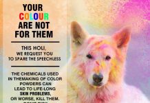 साबधान !!! होलि पर्व मनाउदा कुकुर, बिरालो माथि बिशेस ध्यान